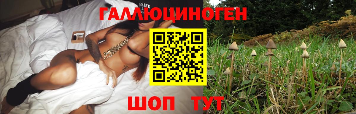 Галлюциногенные грибы MAGIC MUSHROOMS Карпинск
